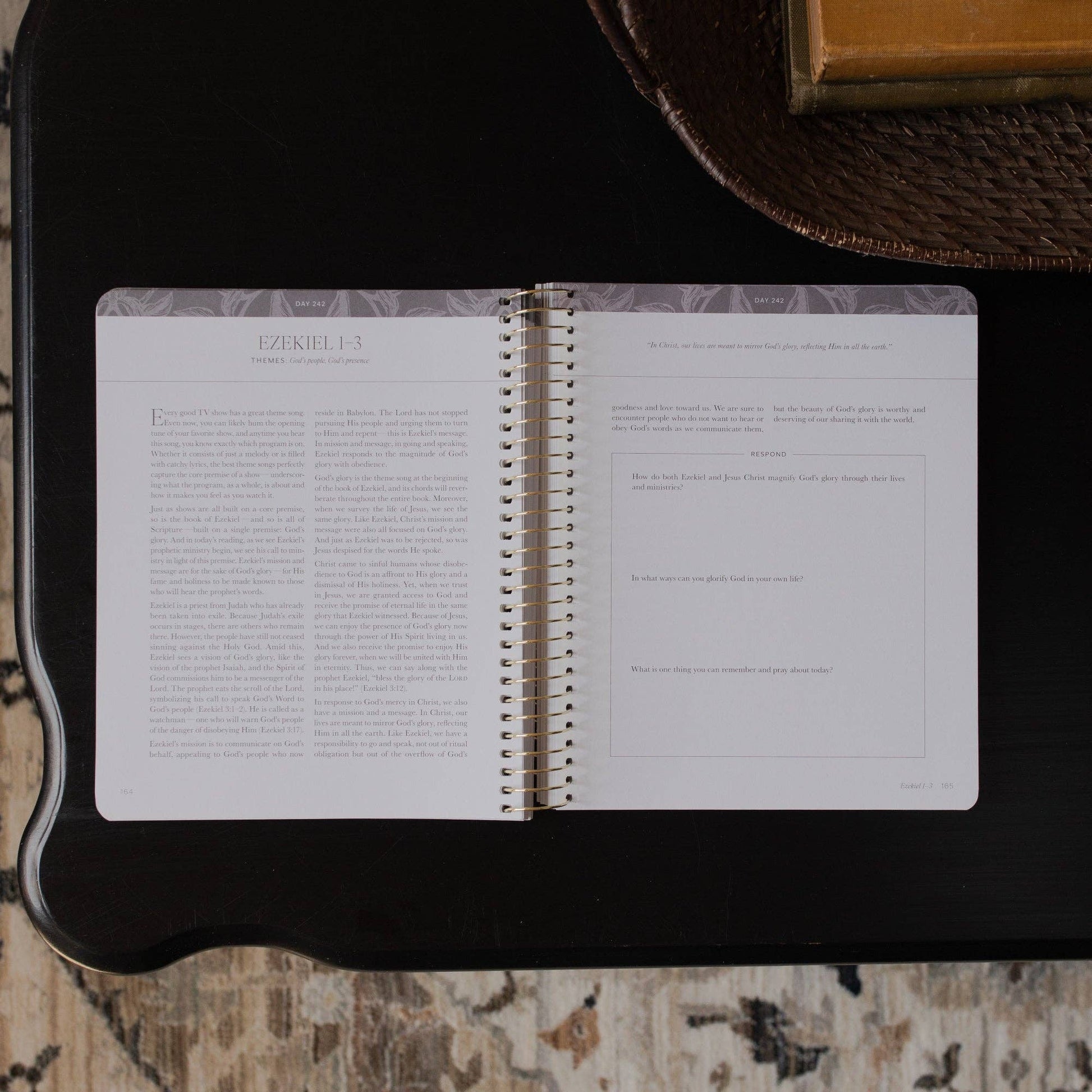 A Year in the Bible | Volume 3 Bible Study
