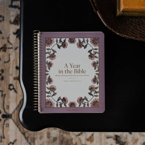 A Year in the Bible | Volume 3 Bible Study