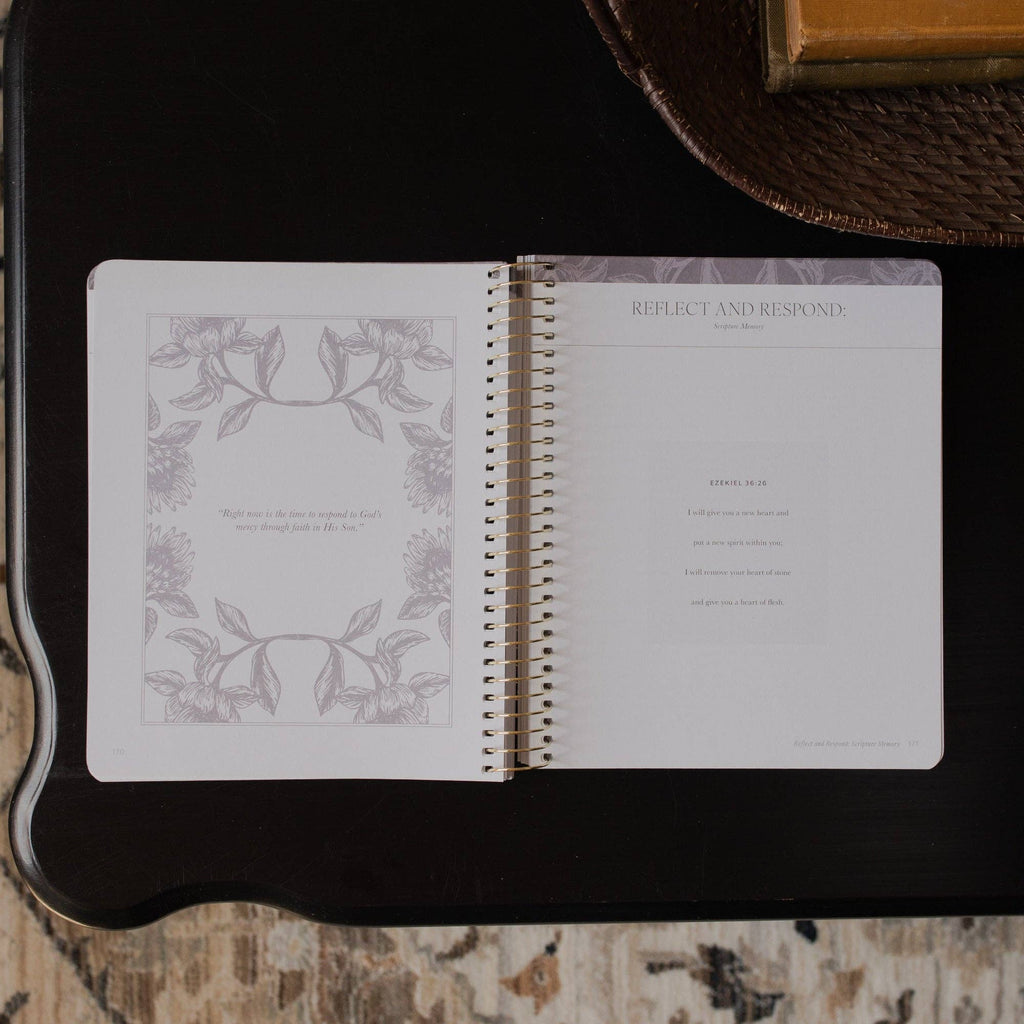 A Year in the Bible | Volume 3 Bible Study