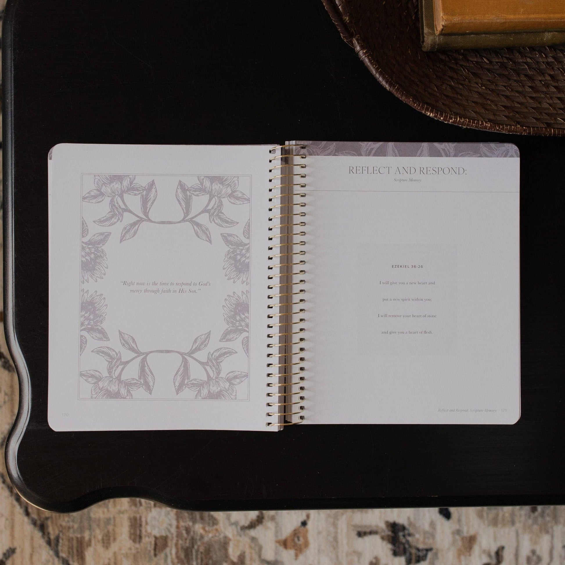 A Year in the Bible | Volume 3 Bible Study