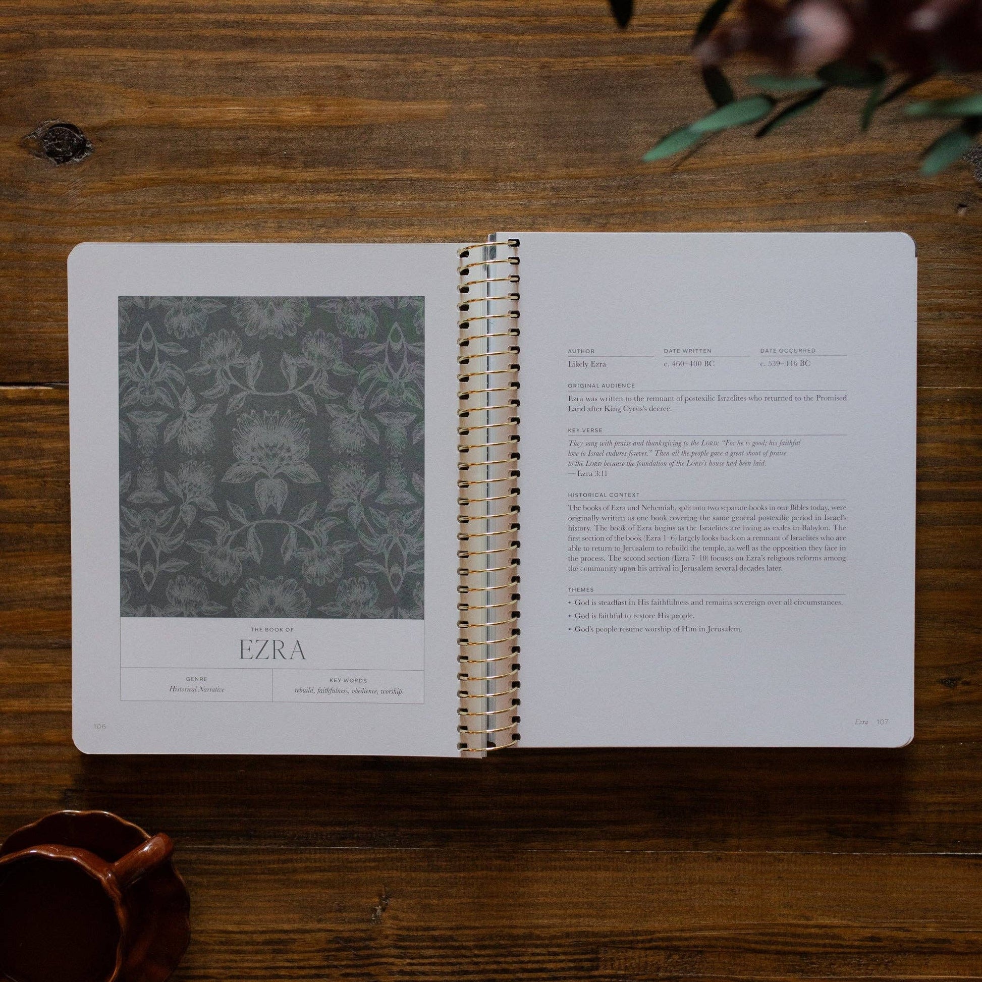 A Year in the Bible | Volume 2 Bible Study