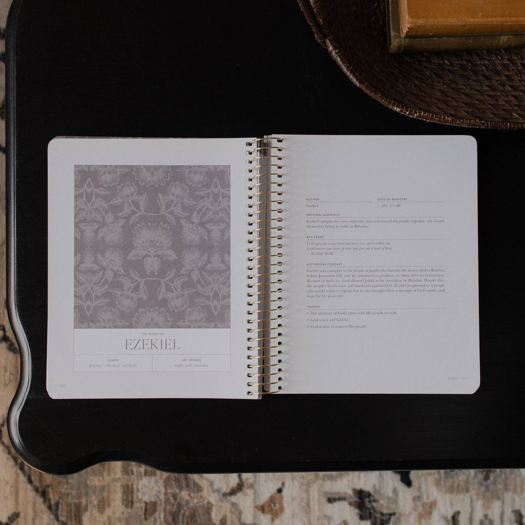 A Year in the Bible | Volume 3 Bible Study