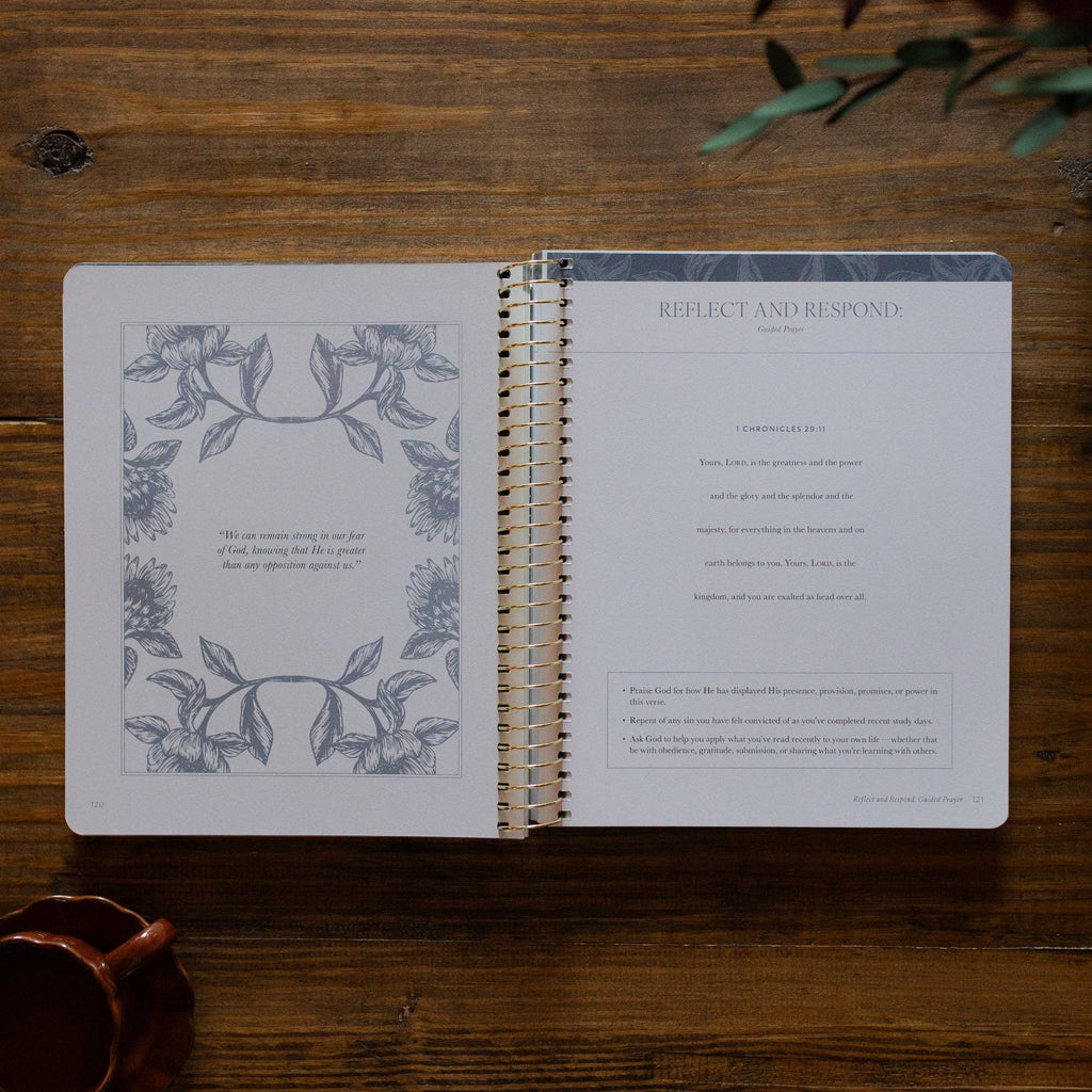 A Year in the Bible | Volume 2 Bible Study