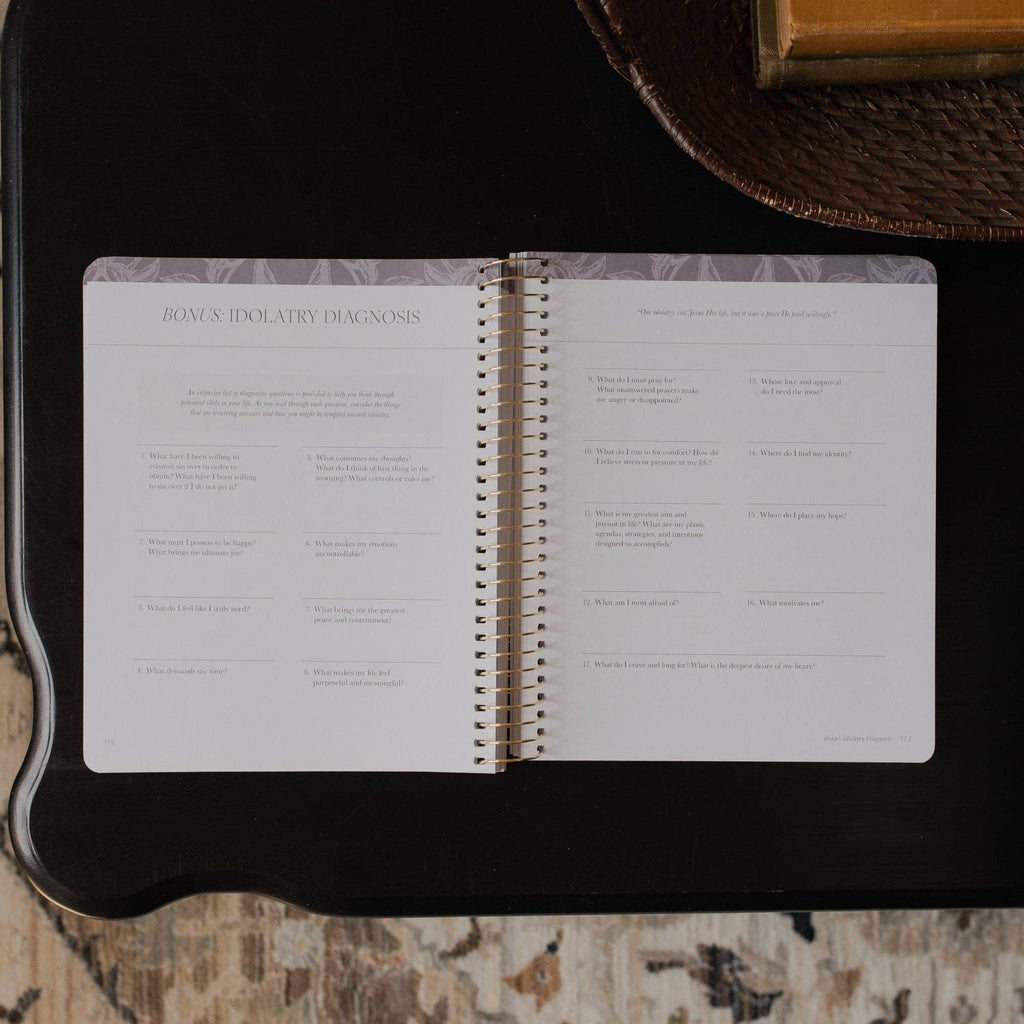 A Year in the Bible | Volume 3 Bible Study