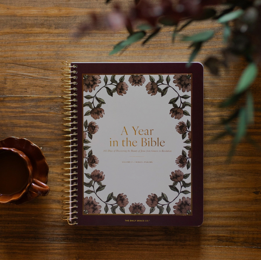 A Year in the Bible | Volume 2