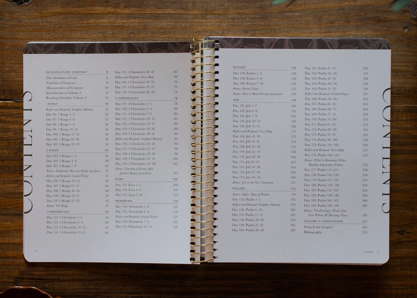 A Year in the Bible | Volume 2