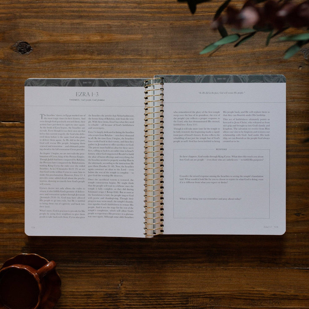 A Year in the Bible | Volume 2 Bible Study