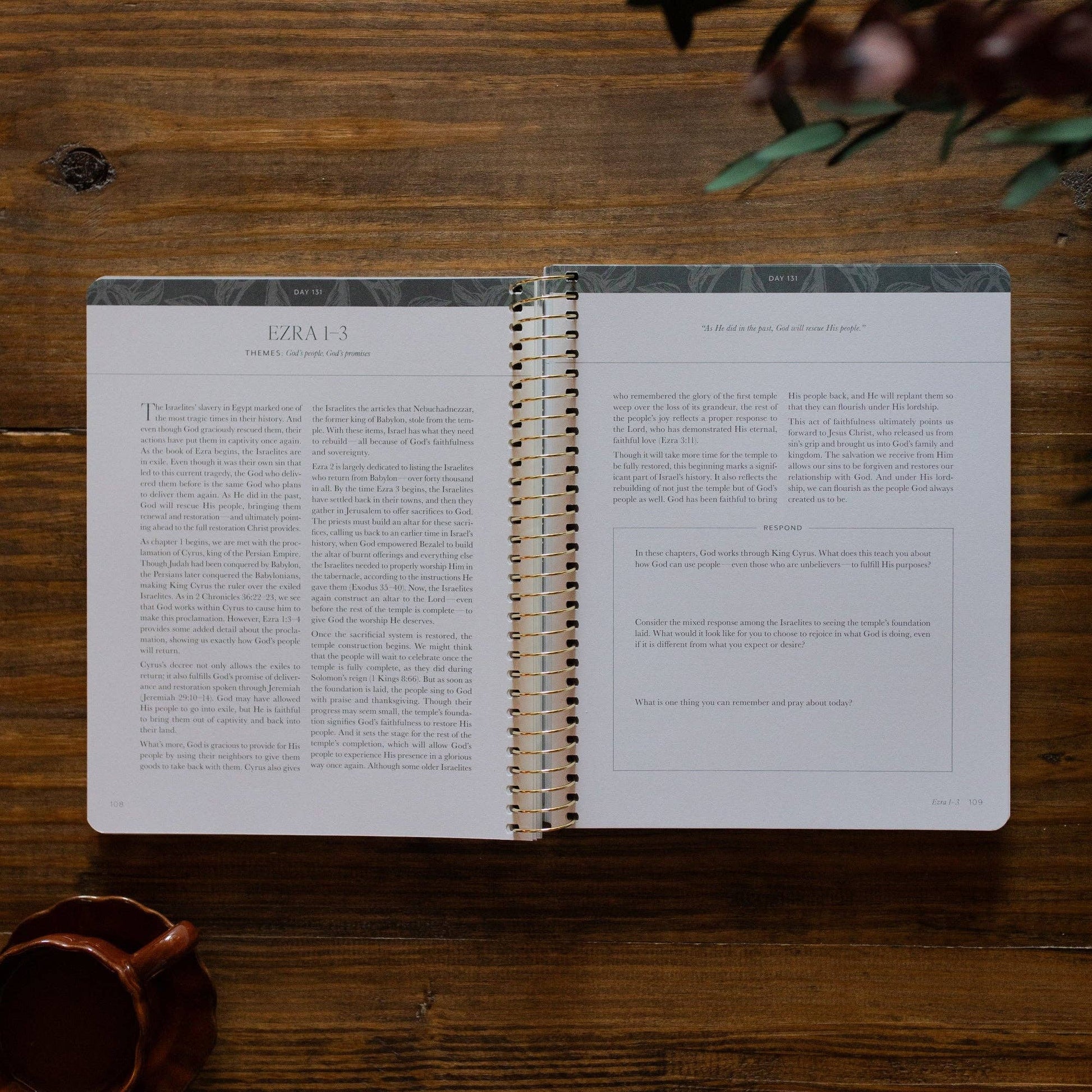 A Year in the Bible | Volume 2 Bible Study