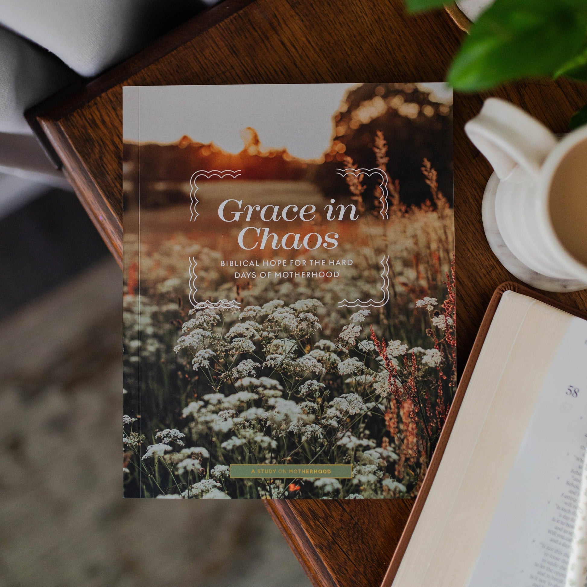 Grace in Chaos Bible Study