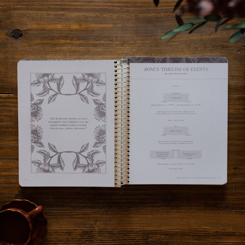 A Year in the Bible | Volume 2 Bible Study