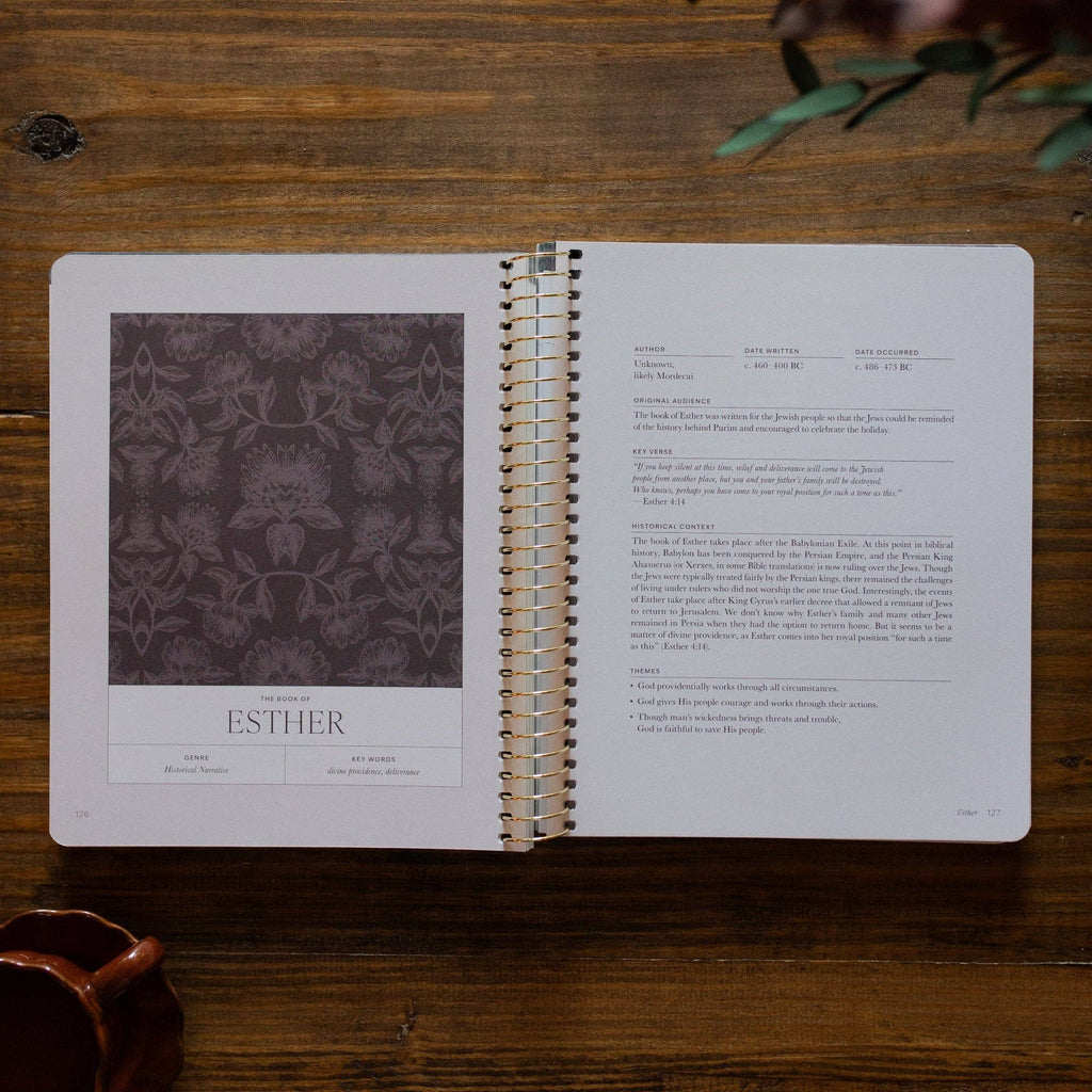 A Year in the Bible | Volume 2 Bible Study