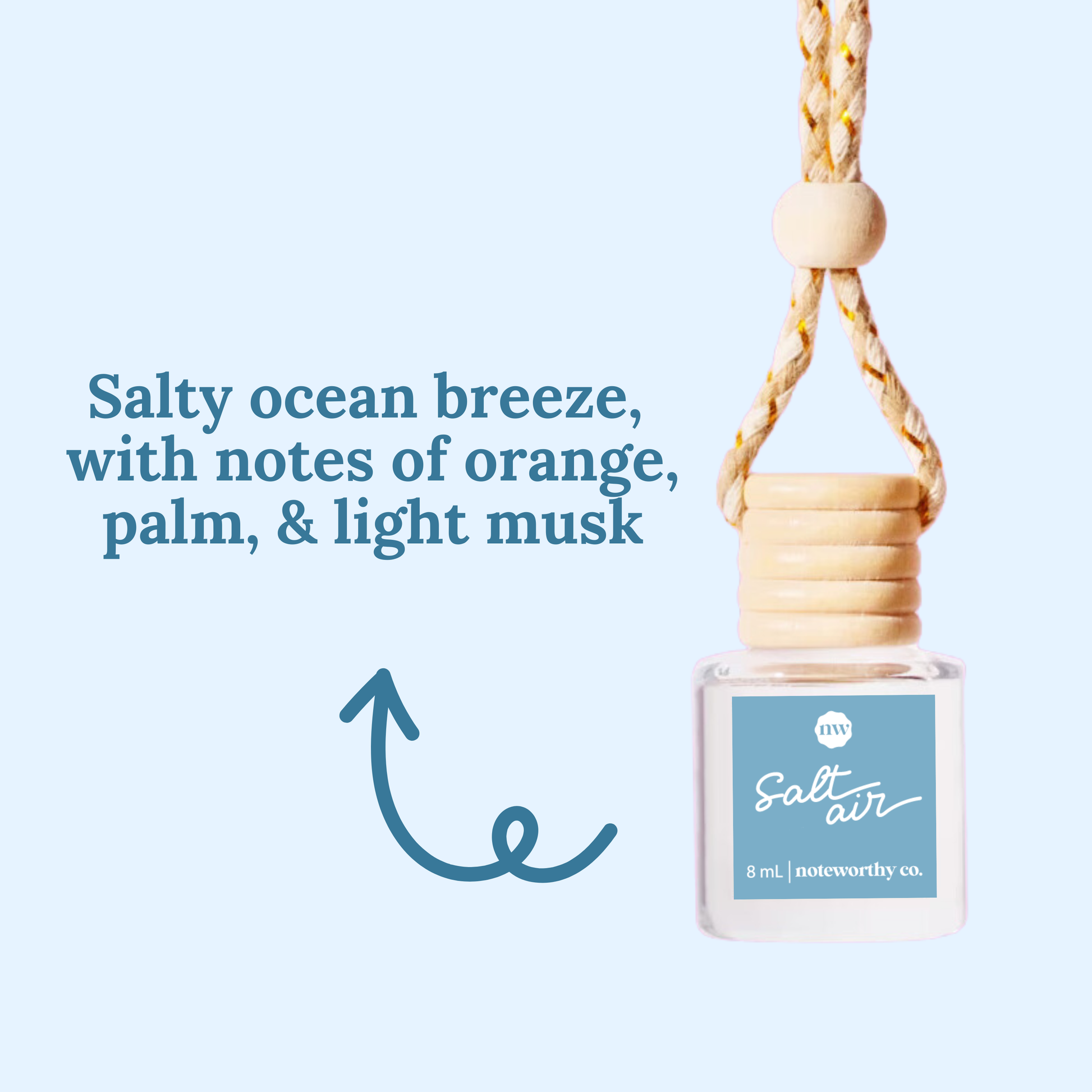 Car Diffusers |  Salt Air