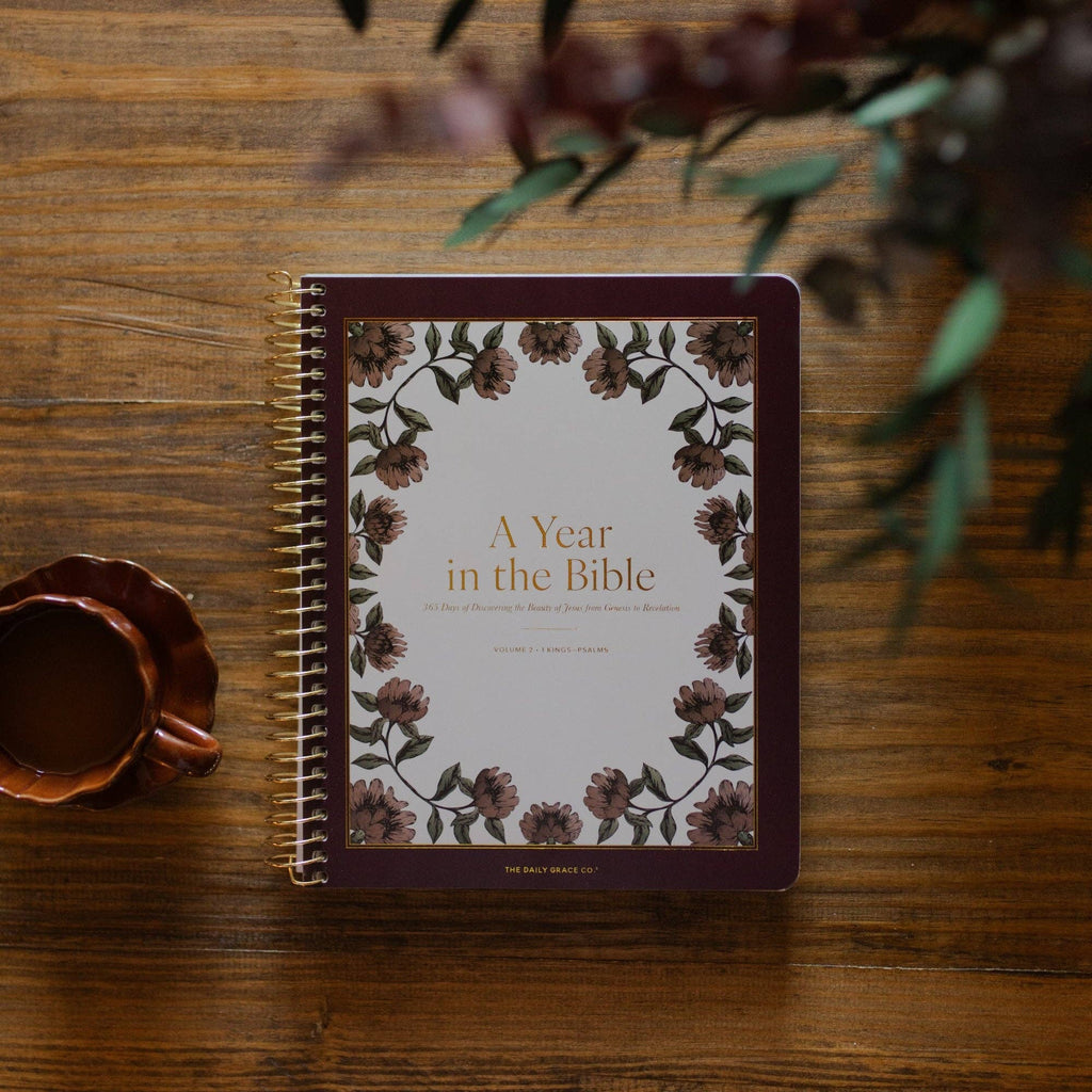 A Year in the Bible | Volume 2 Bible Study