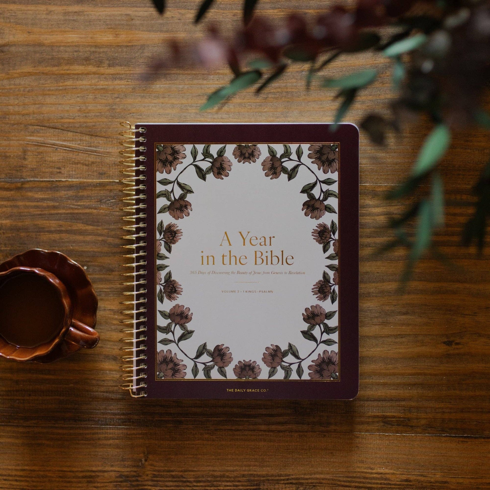 A Year in the Bible | Volume 2 Bible Study